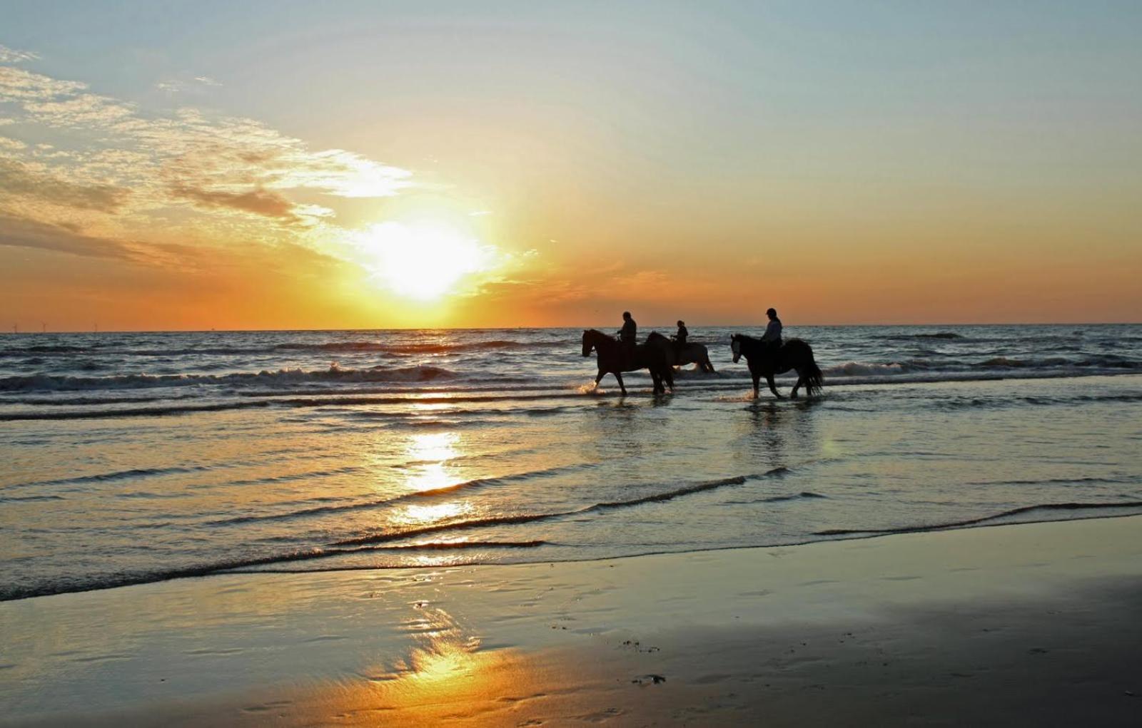 Mer Et Soleil A Blonville Sur Mer/ Deauville المظهر الخارجي الصورة